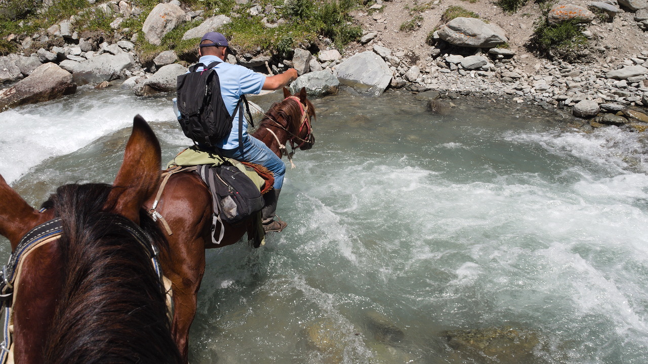 Always suited for off-road use: Horses
